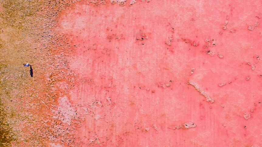 Pink Lake at Port Gregory, Western Australia as viewed from above.