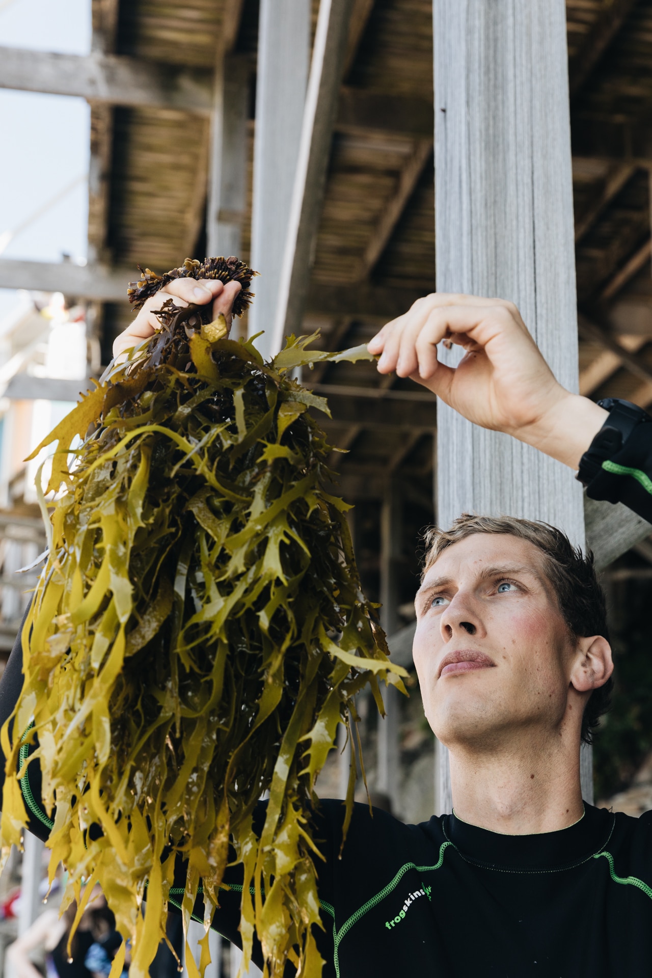 Changing Australia: Aaron Eger and saving the kelp forests