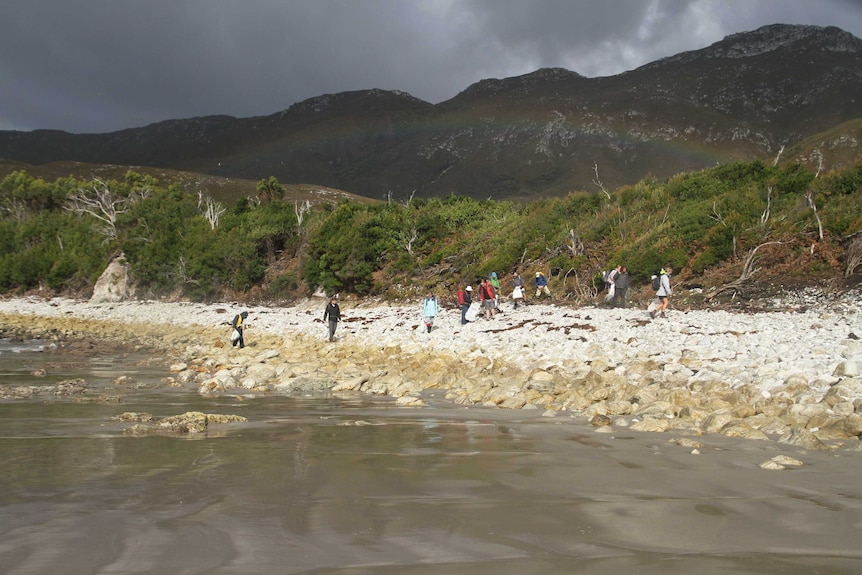 Volunteers clean up a beach on Tasmania's south-west