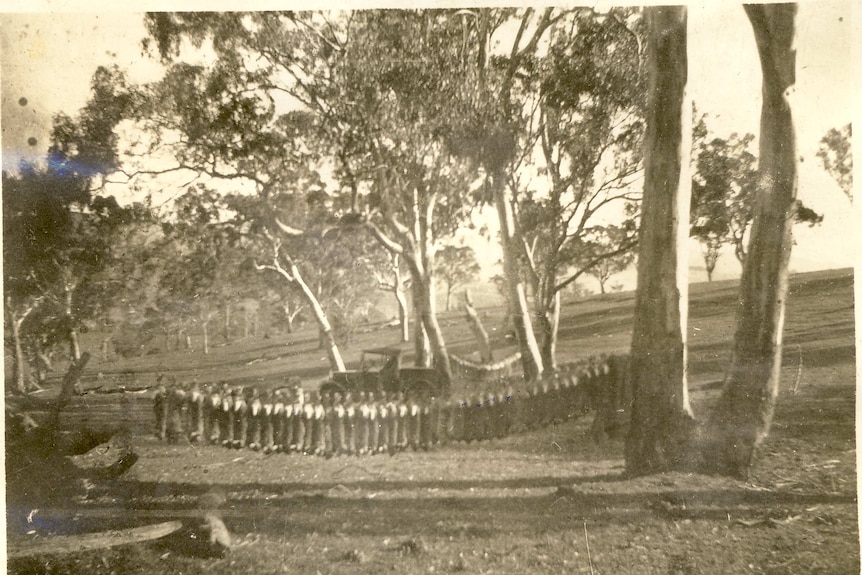 Blurry black and white photo showing dozens of rabbits strung between gum trees as if hanging from a washing line