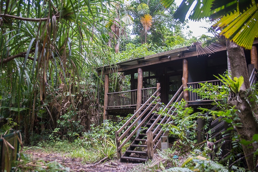 The pathway to one of the resort's cabins is littered with leaves while the cabin's wooden staircase appears to be rotting.