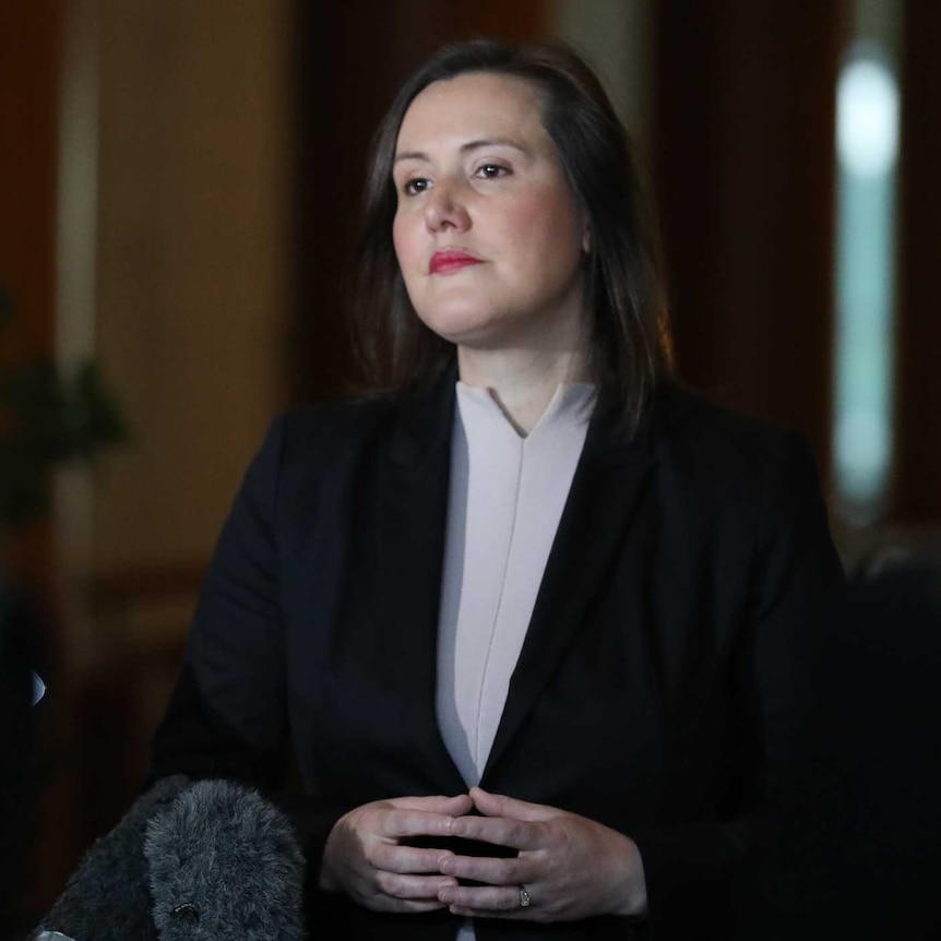 Kelly O'Dwyer looks stern at a press conference