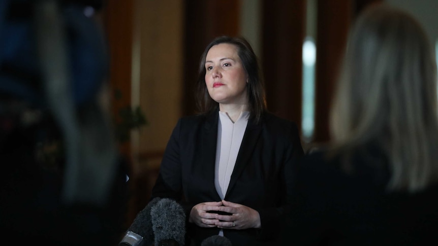Kelly O'Dwyer looks stern at a press conference. She's wearing a black blazer and beige top.