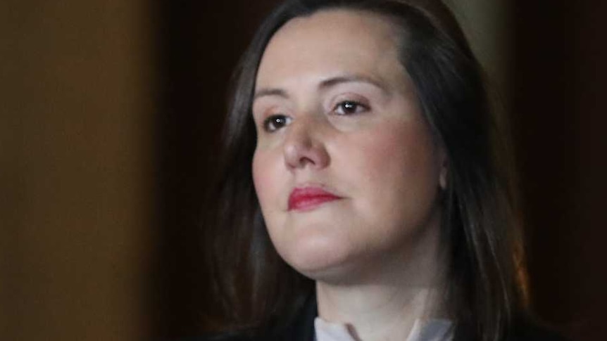 Kelly O'Dwyer looks stern at a press conference