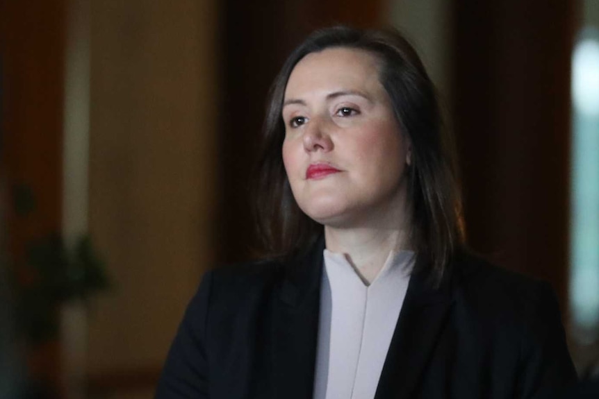 Kelly O'Dwyer looks stern at a press conference. She's wearing a black blazer and beige top.