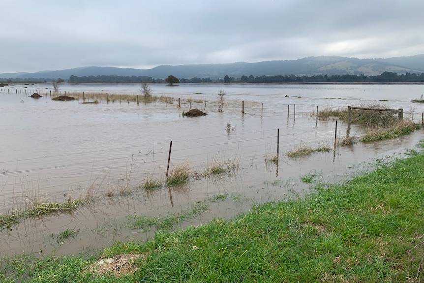 Flooded paddocks outside of Yarra Glen