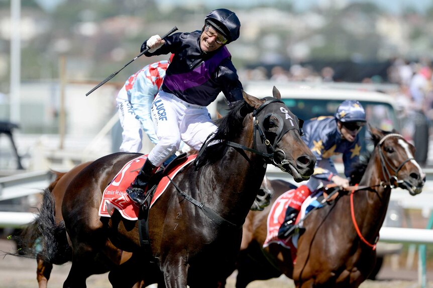 Fiorente wins the Melbourne Cup