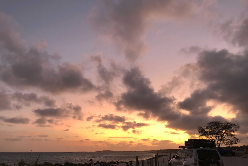 Beach in One Arm Point.