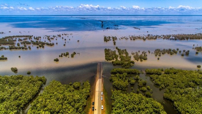 An aerial view of floodwater over Roebuck, with trees in the foreground and blue sky in the background.