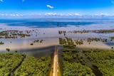 An aerial view of floodwater over Roebuck, with trees in the foreground and blue sky in the background.