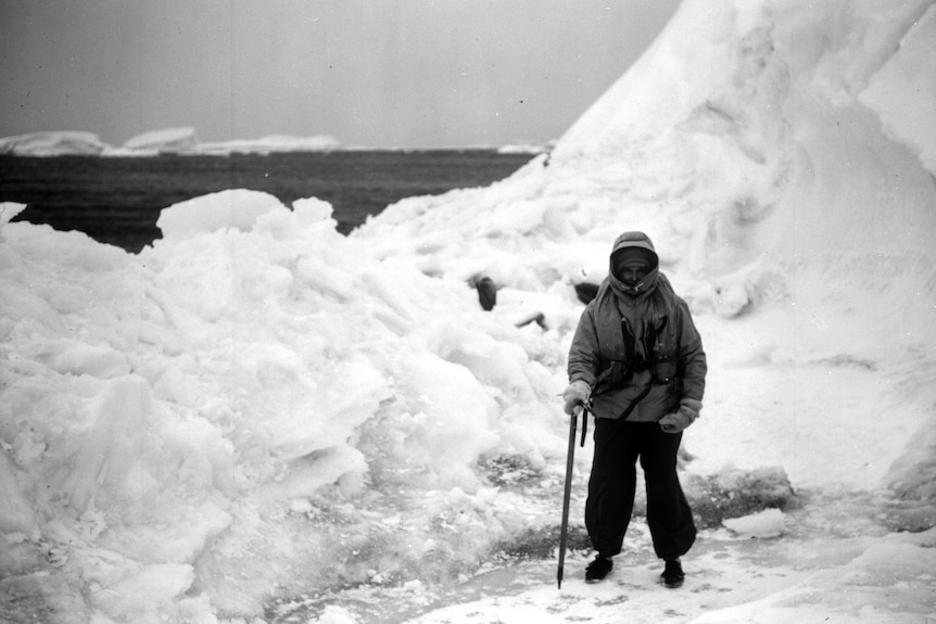 Black and white photo of Nel Law dressed in warm clothing, holding a large stick, and surrounded by large chunks of ice.