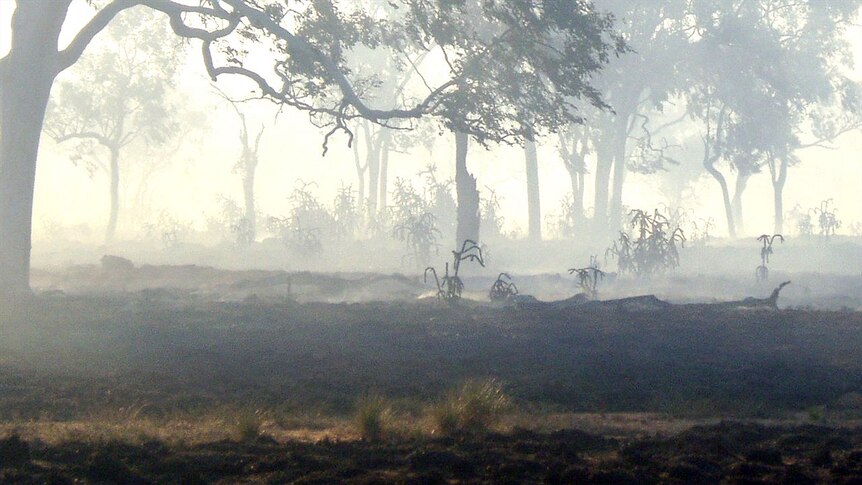 The Jericho bushfires have reduced entire properties to ashes
