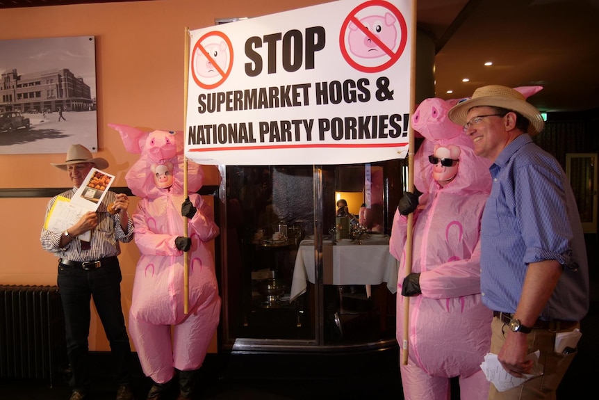 Two men in hats standing with two people dressed up as pigs, with a sign that says 'stop supermarket hogs & national party porki