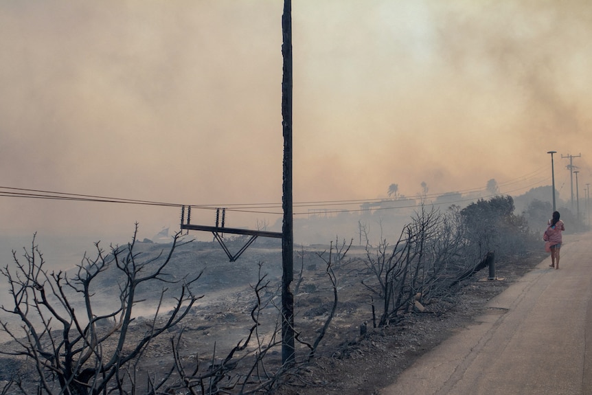 Женщина идет по дороге возле кустов, сожженных лесным пожаром, когда клубы дыма