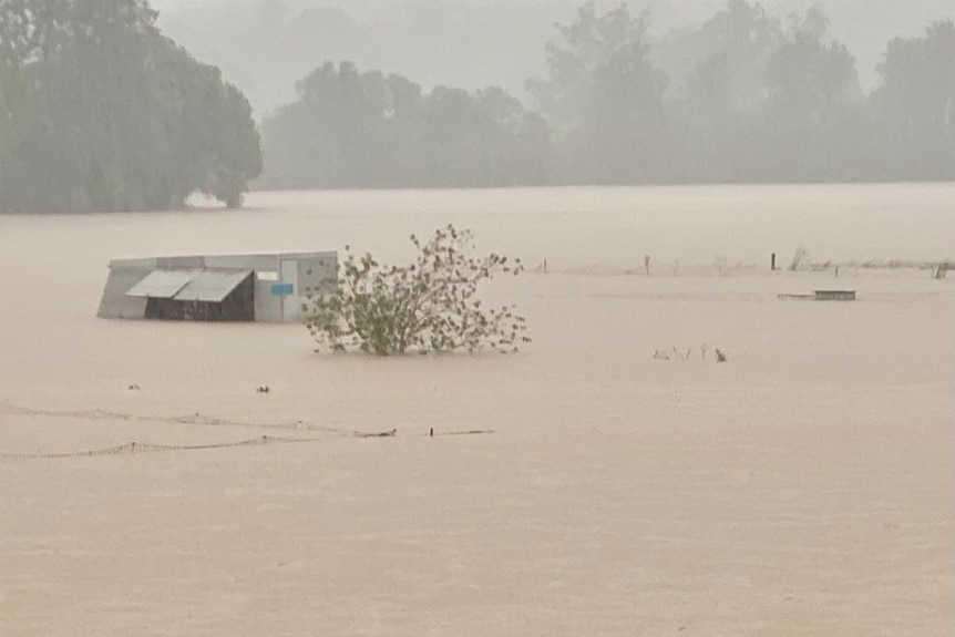 A chicken caravan with two raised hatches, surrounded by floodwater.