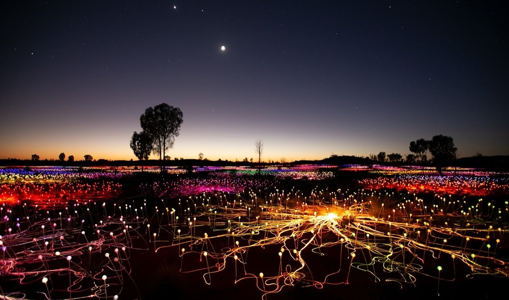 A field of light installation in the desert near Uluru on dusk