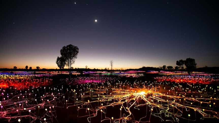 A field of light installation in the desert near Uluru on dusk