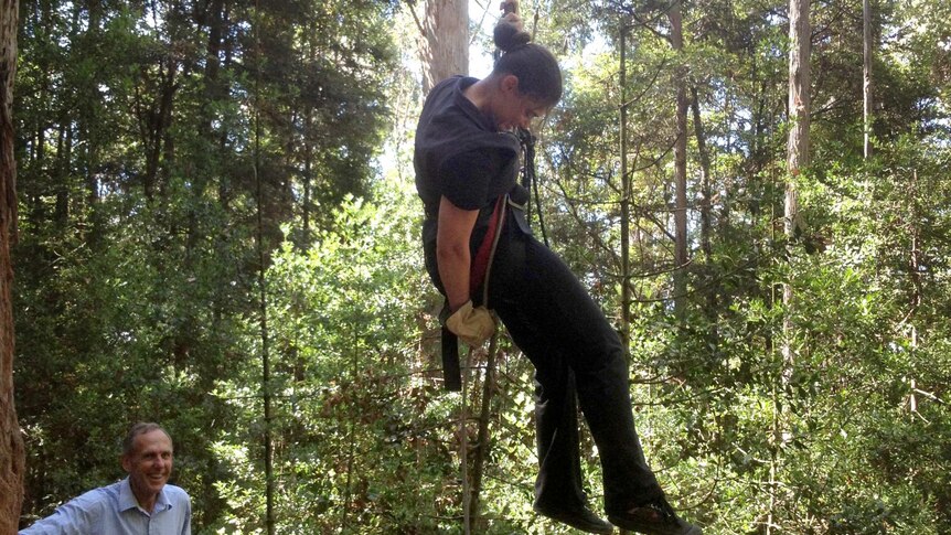 Miranda Gibson descends from the tree after 449 days.