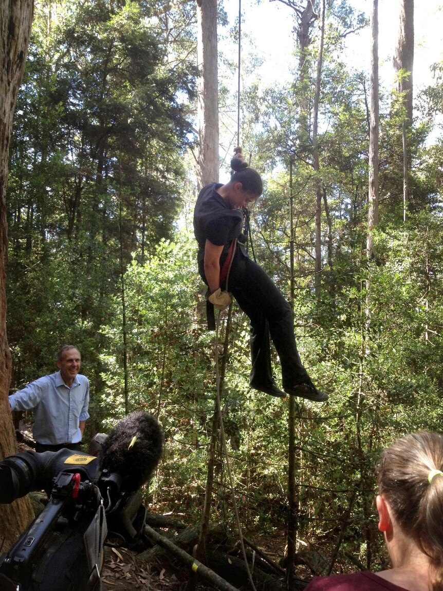 Miranda Gibson descends from the tree after 449 days.