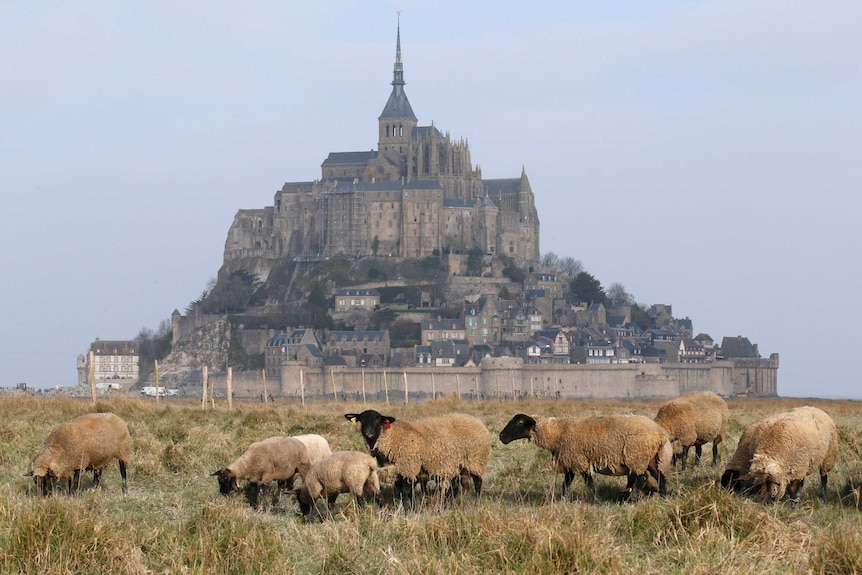 France Mont Saint-Michel abbey before high tide