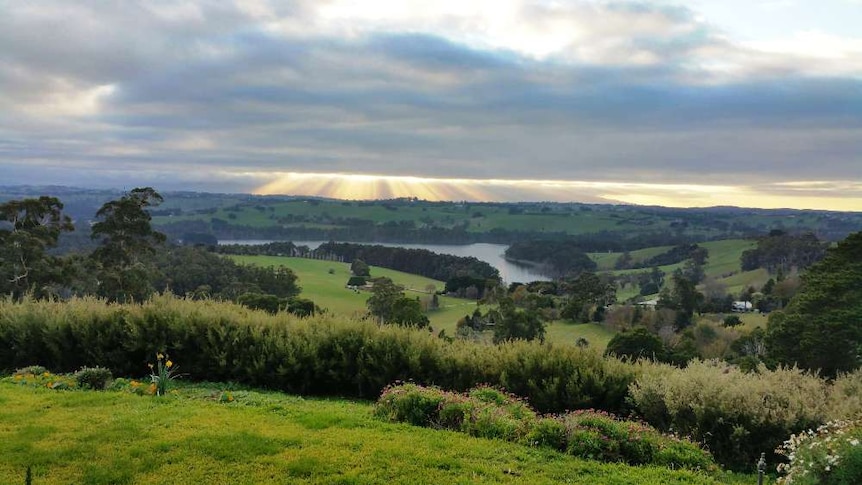 The view from Tarago Olives in Jindivick, West Gippsland.