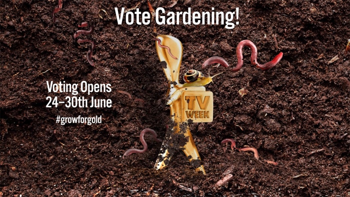 Gold Logie statue in soil with graphic worms