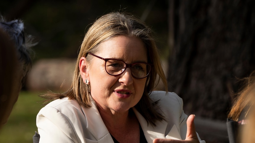 Jacinta Allan sits in a chair in bushland, speaking with a serious expression.