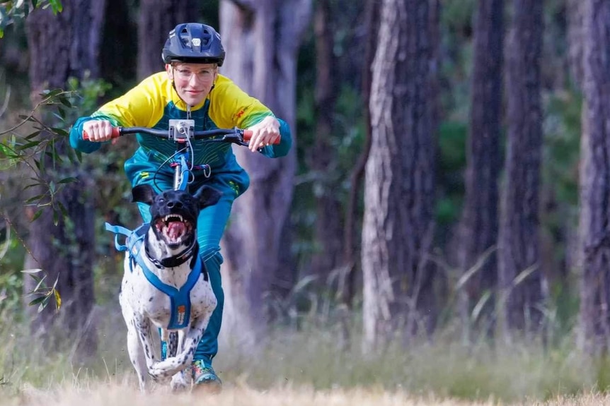 A dog pulls a bike and its rider toward the camera