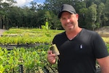 Luke Brown  holding up a seedling in a biodegradable pot, about the size of a toilet roll, with holes in it.