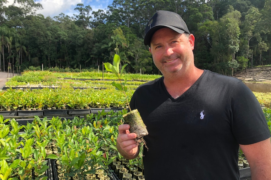 Luke Brown  holding up a seedling in a biodegradable pot, about the size of a toilet roll, with holes in it.