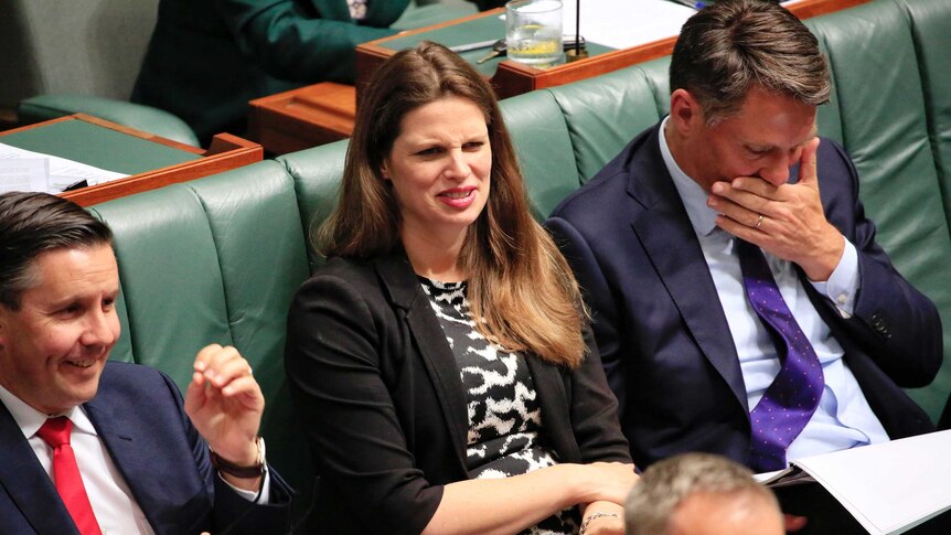 South Australian MP Kate Ellis sits behind Bill Shorten in the House of Representatives.