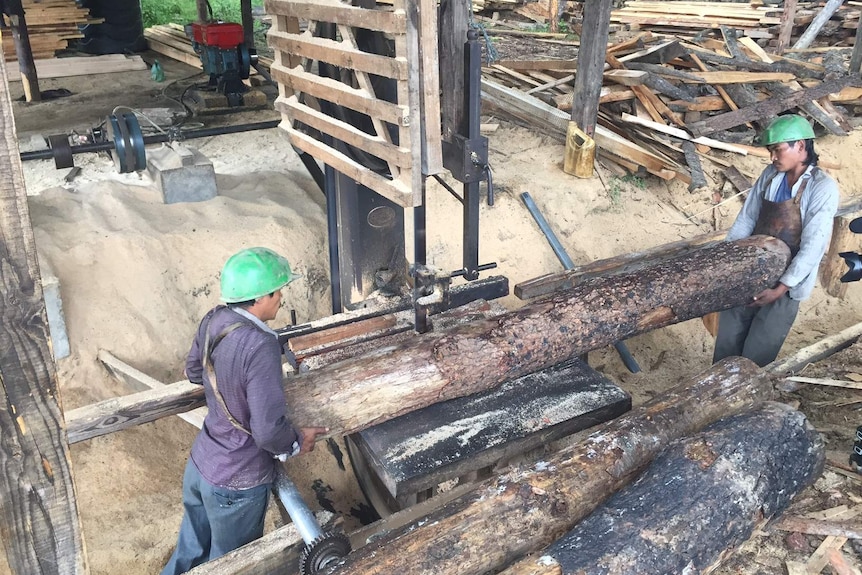 Two men guide huge log through saw mill