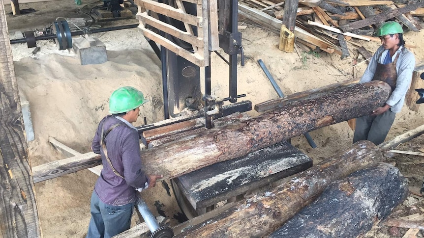 Two men guide huge log through saw mill