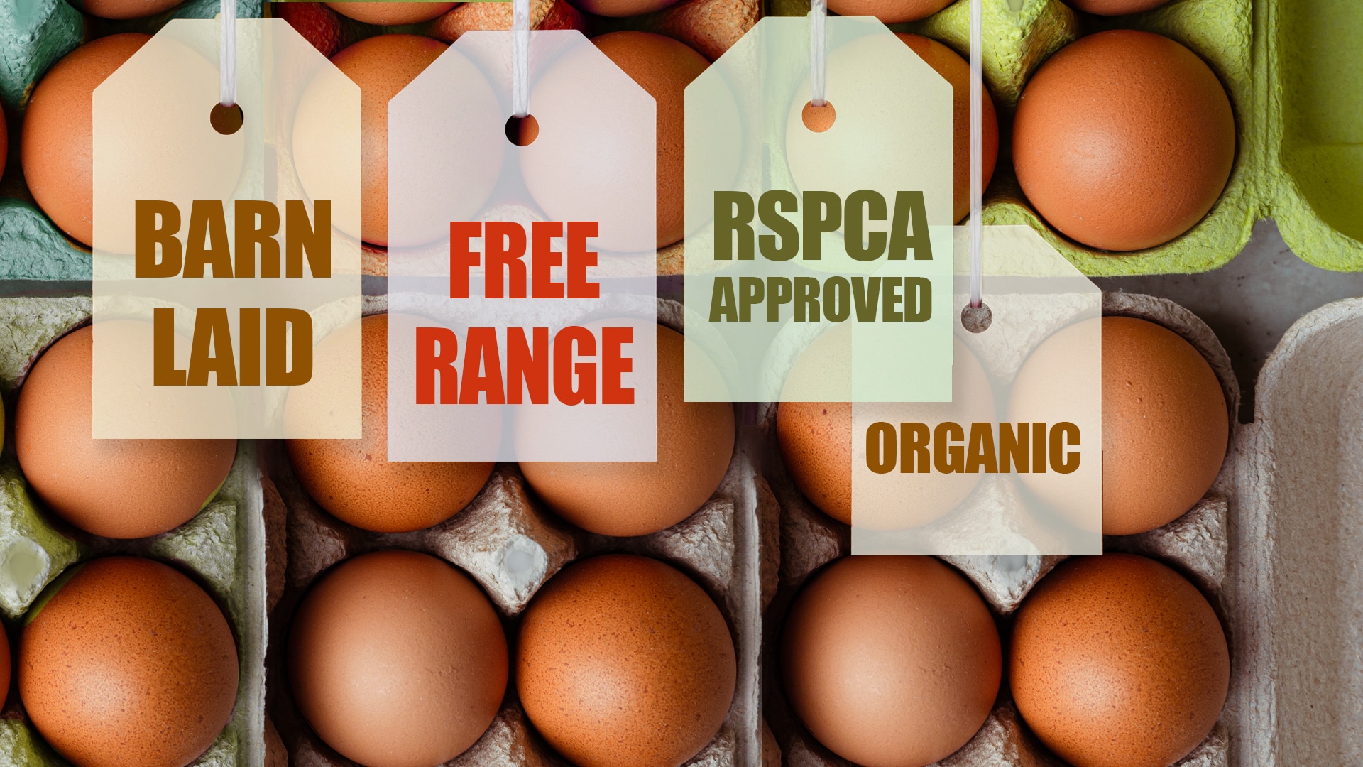 A graphic with egg labels over a carton of eggs.
