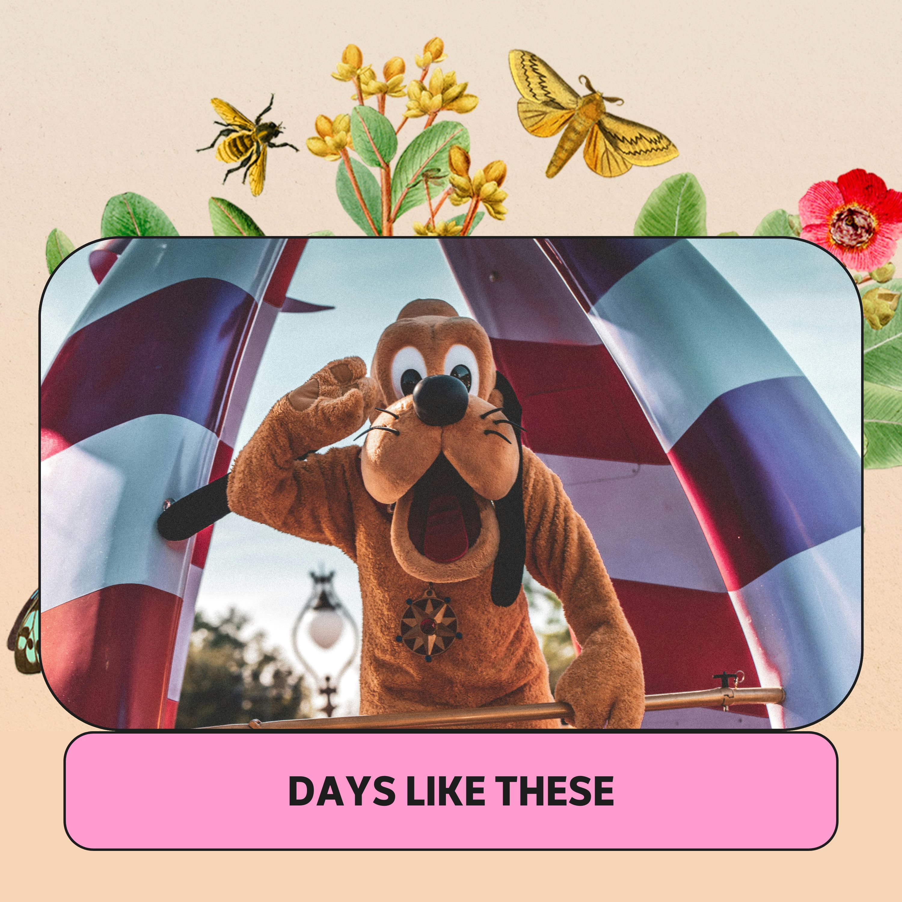 Miriam in Disney World - ABC listen