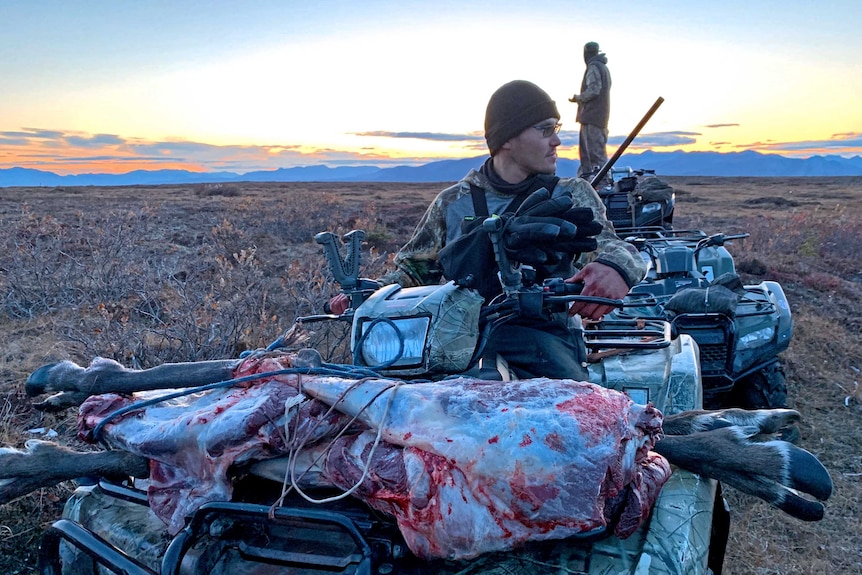 A man drives a quadbike with butchered caribou on the front.