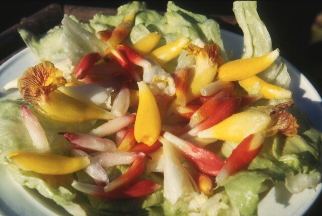 The flesh of multicoloured ginger plant fruits is displayed on a plate.