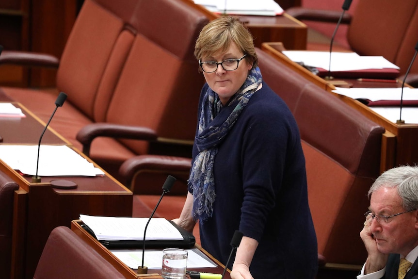 Linda Reynolds in the Senate