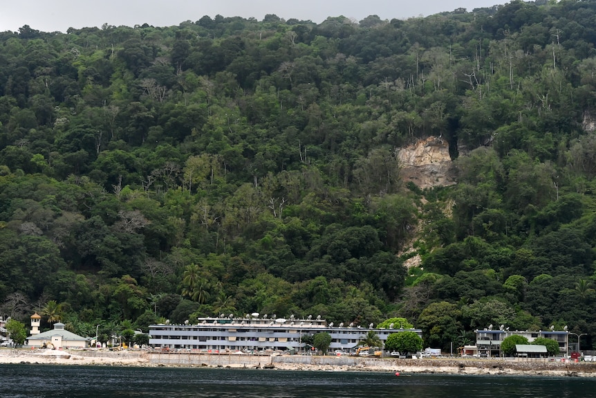 Three-storey apartments on a shoreline are tiny compared to a large green jungle that takes up most of the photo.