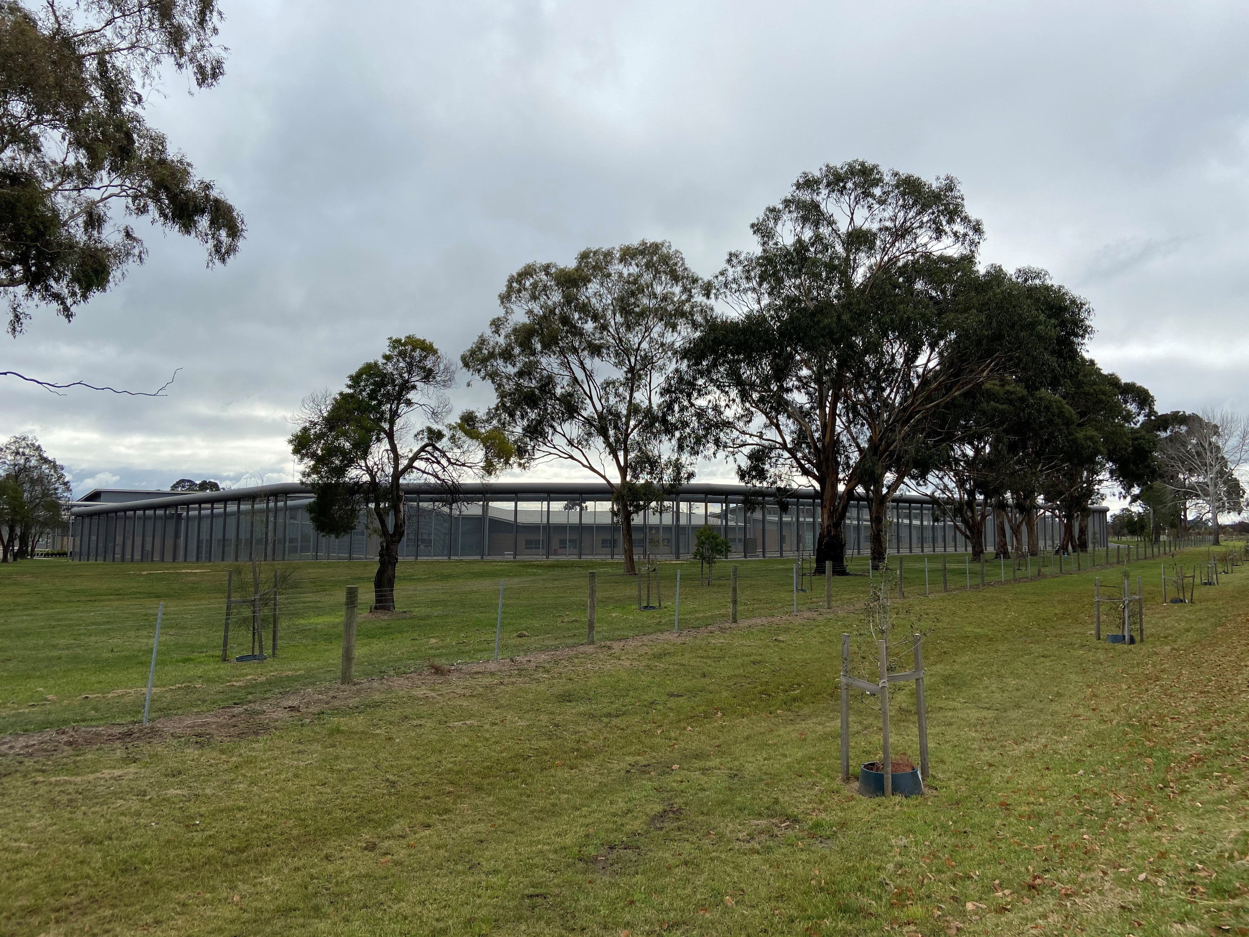 Photo shows trees and the outside of the Malmsbury Youth Justice facility.  