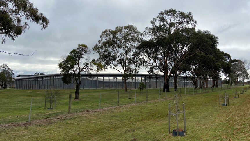 Photo shows trees and the outside of the Malmsbury Youth Justice facility.  