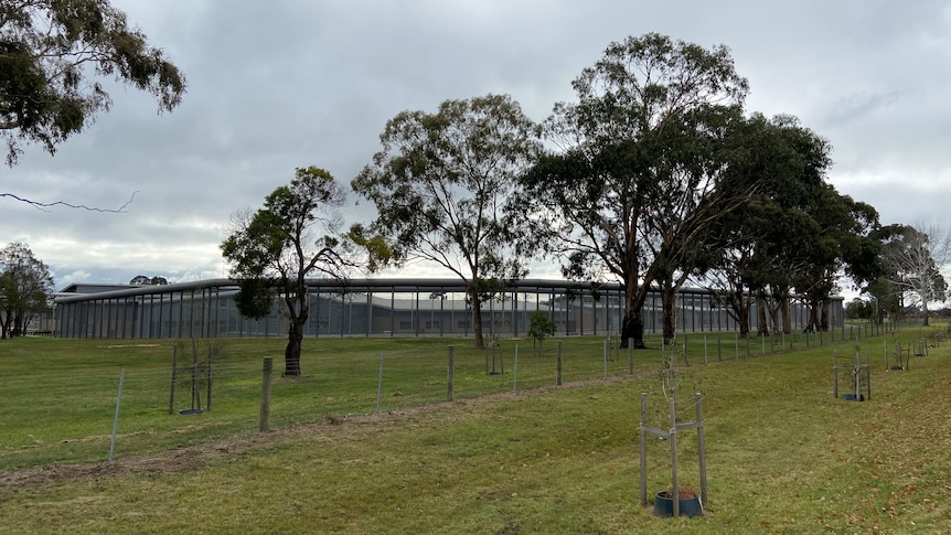 Photo shows trees and the outside of the Malmsbury Youth Justice facility.  