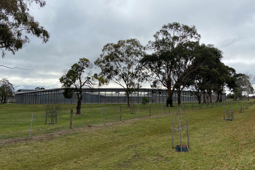 Photo shows trees and the outside of the Malmsbury Youth Justice facility.  