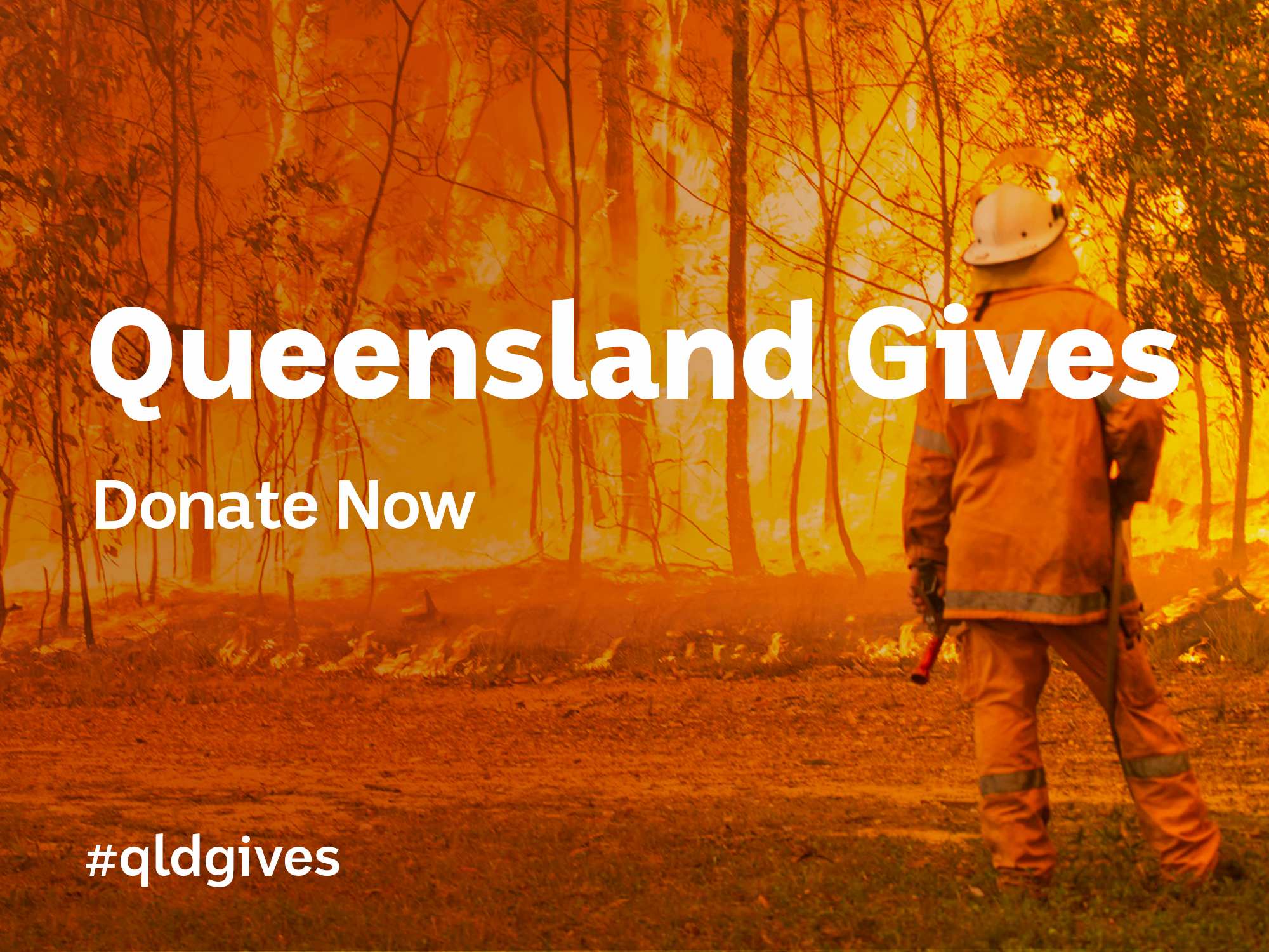 Queensland Gives Appeal – Donate Now - ABC Brisbane