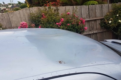 Dented car roof after seal sat on it