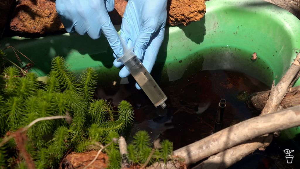 eDNA Detectives eDNA Detectives