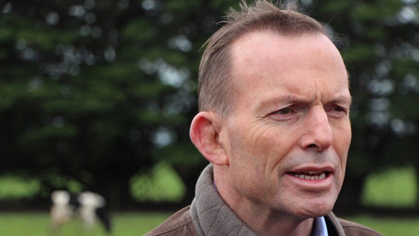 Prime Minister Tony Abbott on a dairy farm