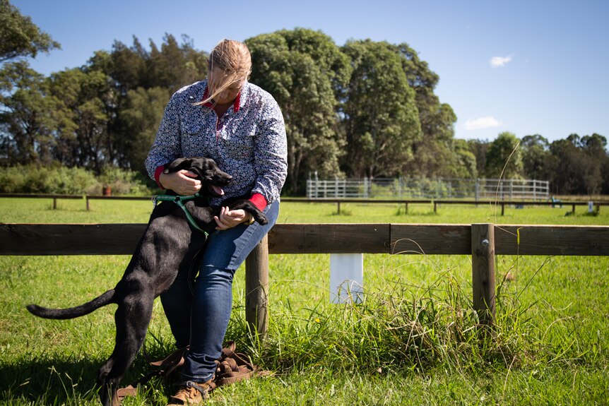 A black dog stands on its hind legs to receive a pat from a woman sitting on a fence in a paddock.