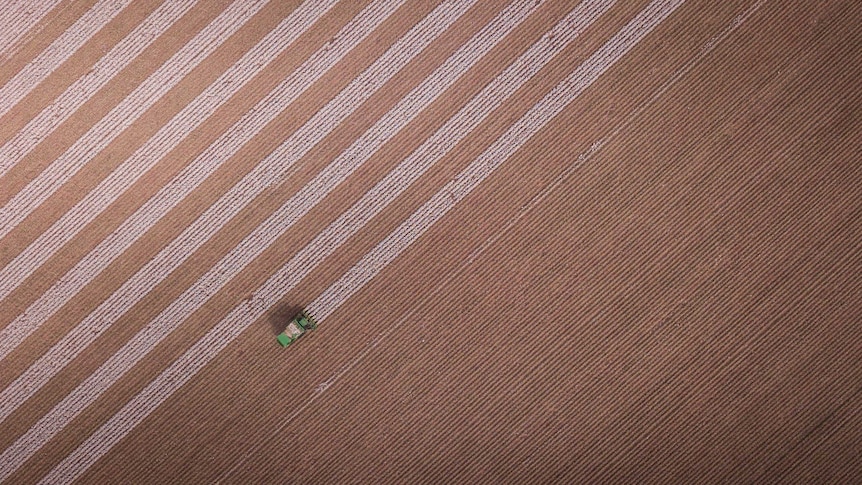 An aerial view of a cotton harvester in a field at Goolgowi