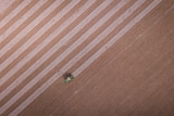 An aerial view of a cotton harvester in a field